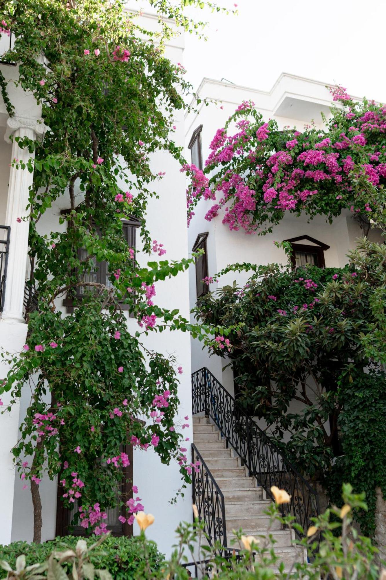 Mare Garden Hotel Akyarlar Exterior foto